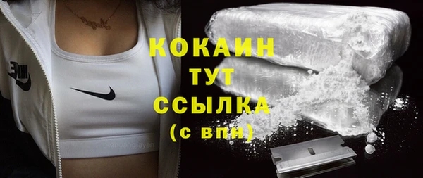 мдпв Новодвинск