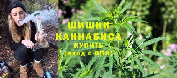 мдпв Новодвинск