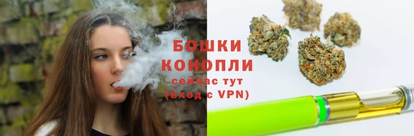 мдпв Новодвинск