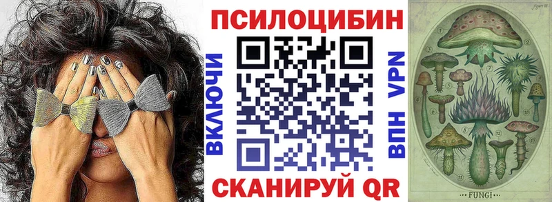 Купить  Киреевск  Галлюциногенные грибы мицелий 